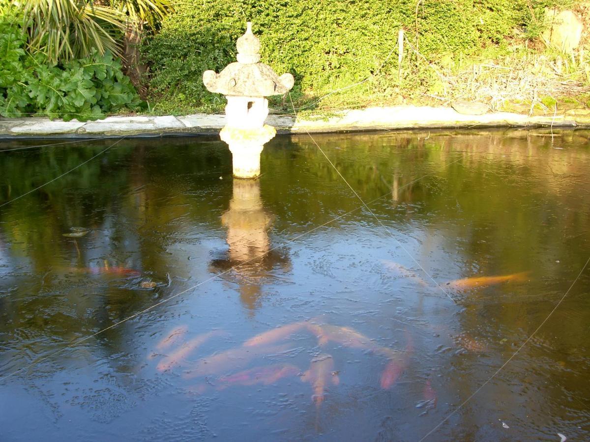 Slapen Bij De Zeeuwse Lala Bed & Breakfast IJzendijke ภายนอก รูปภาพ