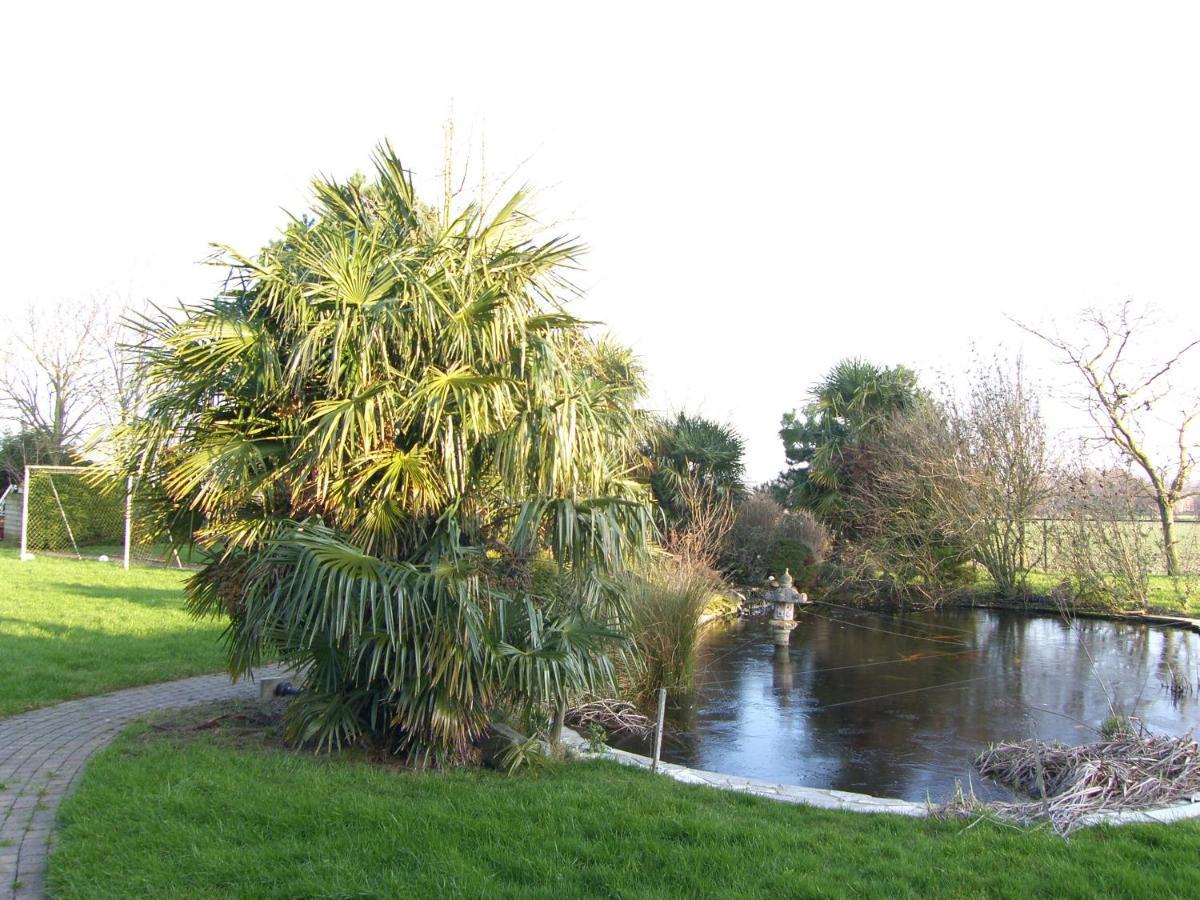 Slapen Bij De Zeeuwse Lala Bed & Breakfast IJzendijke ภายนอก รูปภาพ