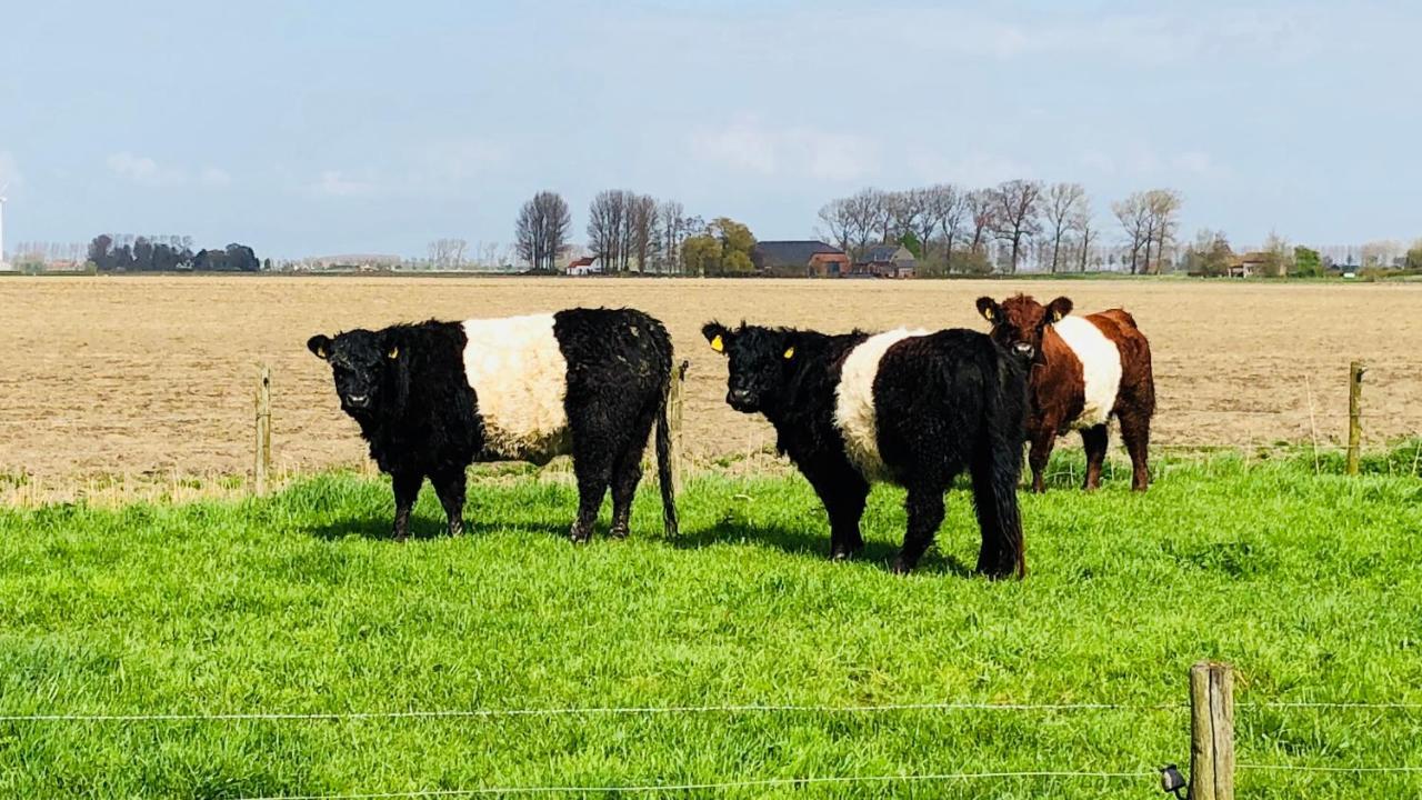 Slapen Bij De Zeeuwse Lala Bed & Breakfast IJzendijke ภายนอก รูปภาพ